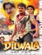 Dilwala (2017) Bhojpuri Movie