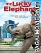 My Lucky Elephant (2013) Dual Audio Hindi Dubbed Movie