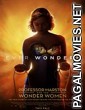 Professor Marston and the Wonder Women (2017) English Movie